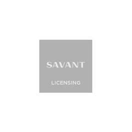 Savant - control, multi-room audio & speakers License - Da Vinci Software License - Pro
