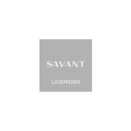 Savant - control, multi-room audio & speakers Runtime License - Super Pro 10